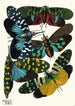 Insectes Pl08 - Émile-Allain Séguy — weergave van het kunstwerk
