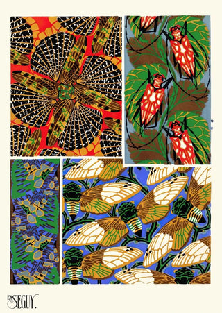 EmileAllain Sguy - Insectes Pl11.webp