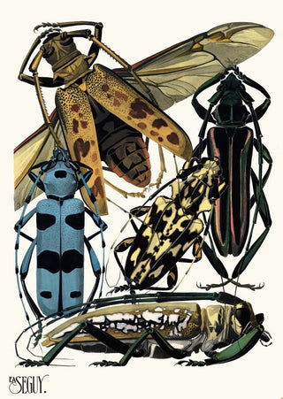 EmileAllain Sguy - Insectes Pl14.webp
