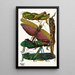 Insectes Pl18 - Émile-Allain Séguy — ingelijst kunstwerk aan de muur