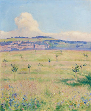 Emile Patru - Salve.webp