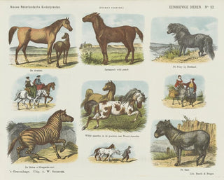 Emrik  Binger - Eenhoevige dieren.webp