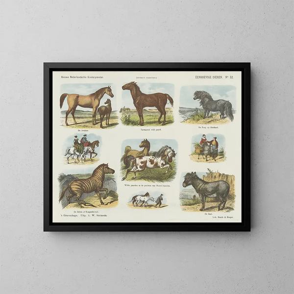 Dieren met één hoorn - Emrik Binger — ingelijst kunstwerk aan de muur
