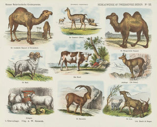 Emrik  Binger - Herkauwende of tweehoevige dieren.webp