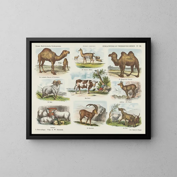 Dieren met hoeven of ruminanten of met twee hoeven - Emrik Binger — ingelijst kunstwerk aan de muur