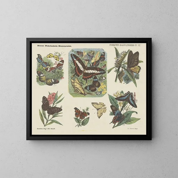 Insecten dagvlinders - Emrik Binger — ingelijst kunstwerk aan de muur