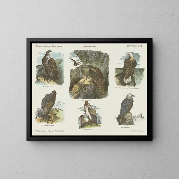 Vogels op het dak - Emrik Binger — ingelijst kunstwerk aan de muur