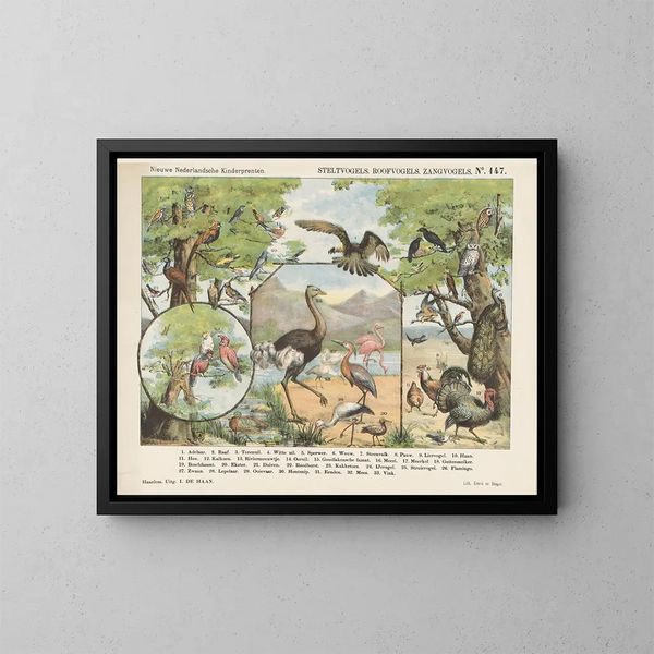 Roofvogels en zangers - Emrik Binger — ingelijst kunstwerk aan de muur