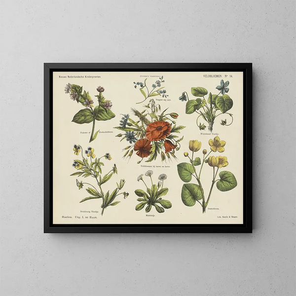 Bloemenvelden - Emrik Binger — ingelijst kunstwerk aan de muur