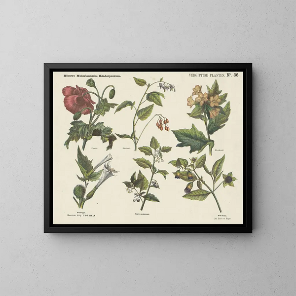 Giftige Planten - Emrik Binger — ingelijst kunstwerk aan de muur