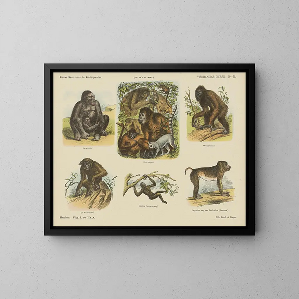 Dieren met vier handen - Emrik Binger — ingelijst kunstwerk aan de muur