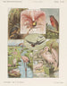 Vogels - Emrik Binger — weergave van het kunstwerk
