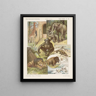 Emrik Binger - Wilde dieren.webp