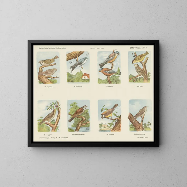 Zangvogels - Emrik Binger — ingelijst kunstwerk aan de muur
