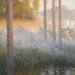 Nachtgeesten - Gaston La Touche — weergave van het kunstwerk