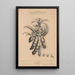 Flore d'Amérique Pl27 - Étienne Denisse — framed artwork on a wall