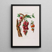 Flore d'Amérique dessinée d'après nature sur les lieux Pl025 - Étienne Denisse — ingelijst kunstwerk aan de muur