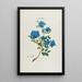 Flore d'Amérique dessinée d'après nature sur les lieux Pl033 - Étienne Denisse — ingelijst kunstwerk aan de muur