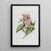Flore d'Amérique dessinée d'après nature sur les lieux Pl034 - Étienne Denisse — ingelijst kunstwerk aan de muur