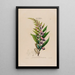 Flore d'Amérique dessinée d'après nature sur les lieux Pl055 - Étienne Denisse — ingelijst kunstwerk aan de muur