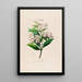 Flore d'Amérique dessinée d'après nature sur les lieux Pl057 - Étienne Denisse — ingelijst kunstwerk aan de muur