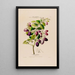 Flore d'Amérique dessinée d'après nature sur les lieux Pl058 - Étienne Denisse — ingelijst kunstwerk aan de muur
