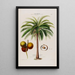 Flore d'Amérique dessinée d'après nature sur les lieux Pl065 - Étienne Denisse — ingelijst kunstwerk aan de muur