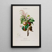 Flore d'Amérique dessinée d'après nature sur les lieux Pl073 - Étienne Denisse — ingelijst kunstwerk aan de muur