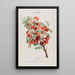 Flore d'Amérique dessinée d'après nature sur les lieux Pl077 - Étienne Denisse — ingelijst kunstwerk aan de muur