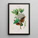 Flore d'Amérique dessinée d'après nature sur les lieux Pl080 - Étienne Denisse — ingelijst kunstwerk aan de muur