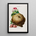 Flore d'Amérique dessinée d'après nature sur les lieux Pl085 - Étienne Denisse — ingelijst kunstwerk aan de muur