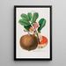 Flore d'Amérique dessinée d'après nature sur les lieux Pl088 - Étienne Denisse — ingelijst kunstwerk aan de muur