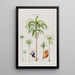 Flore d'Amérique dessinée d'après nature sur les lieux Pl089 - Étienne Denisse — ingelijst kunstwerk aan de muur