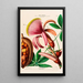 Flore d'Amérique getekend naar de natuur op locatie Pl097 - Étienne Denisse — ingelijst kunstwerk aan de muur