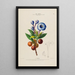 Flore d'Amérique dessinée d'après nature sur les lieux Pl154 - Étienne Denisse — ingelijst kunstwerk aan de muur