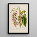 Flore d'Amérique dessinée d'après nature sur les lieux Pl187 - Étienne Denisse — ingelijst kunstwerk aan de muur