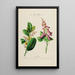 Flore d'Amérique dessinée d'après nature sur les lieux Pl194 - Étienne Denisse — ingelijst kunstwerk aan de muur
