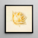 Study of a Rose - Paul de Longpré — framed artwork on a wall