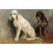 Reproductie van het schilderij Studie van twee honden - Rosa Bonheur