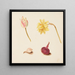 Reproduction of the painting Study of flowers and vegetables - Johanna Fosie