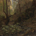 Studie van bos - Hans Gude — weergave van het kunstwerk
