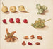 Study of Fruits, Br et Ndder - Johanna Fosie — artwork view