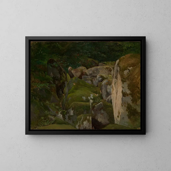 van Rochers moussus dans la vallée forestière - Eugen Bracht — ingelijst kunstwerk aan de muur