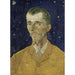 Reproductie van het schilderij Eugène Boch - Vincent van Gogh