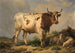 Stier - Eugène Joseph Verboeckhoven — weergave van het kunstwerk
