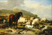 Landschap met Schapen - Eugène Joseph Verboeckhoven — weergave van het kunstwerk