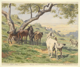 Evart Louis Van Muyden - Horses in Field Tivoli.webp