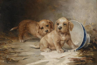 Federico Olaria - Welpen.webp