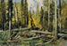 Bosbomen in Bohemen - Ferdinand Engelmüller — weergave van het kunstwerk