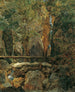De wilde natuur van Rettenbach bij Ischl - Ferdinand Georg Waldmüller — weergave van het kunstwerk